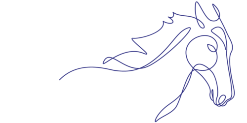 communication animale dessin cheval
