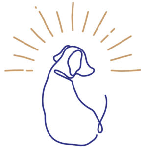 Communication animale dessin chien